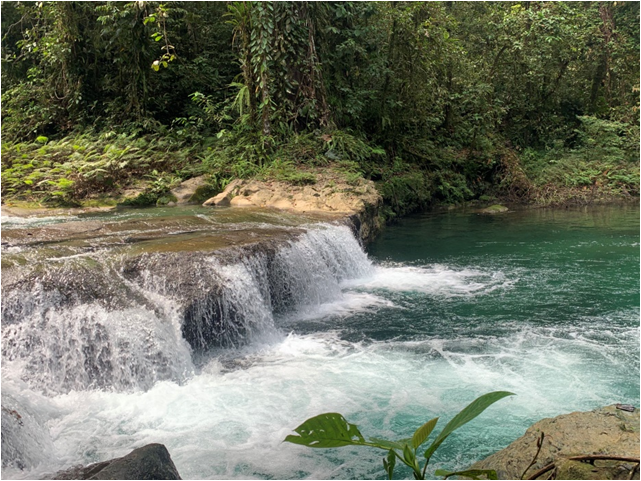 <b class="font-bara"><i class="bi bi-geo-fill h4"></i> PADIGOSAN FALLS</b> <br/>Padigusan Falls is located in Barangay Bolhoon,San Miguel,Surigao Del Sur.It is sorrounded by trees and grasses,the water is so cool ,it has large rocks,and crystal clear water.The waterfalls is divided into more pools.When you explore this area,you will feel comfortable and stress free.
Disclaimer: This site is NOT YET OPEN to the PUBLIC.
                    : For future Tourism Product Development.